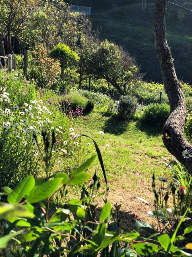 Le Bout Du Monde Villa Saint-Léonard Eksteriør bilde